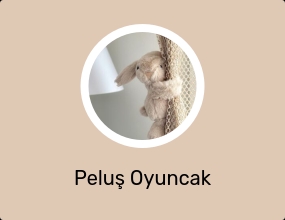 Peluş Oyuncak