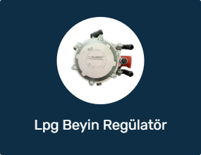 Lpg Beyin Regülatör