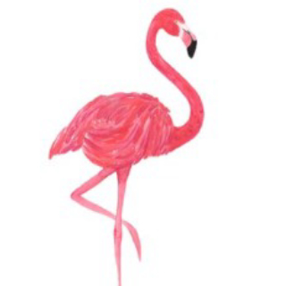 Tırnakmanya Pazarlama İth.İhr.Ltd.Şti. logo