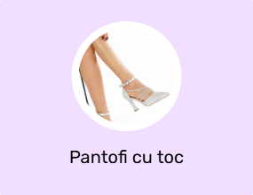 Pantofi cu toc
