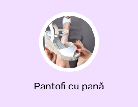 Pantofi cu pană