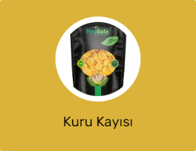 Kuru Kayısı