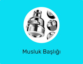 Musluk Başlığı
