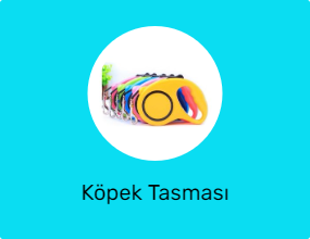 Köpek Tasması
