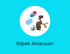Köpek Aksesuarı
