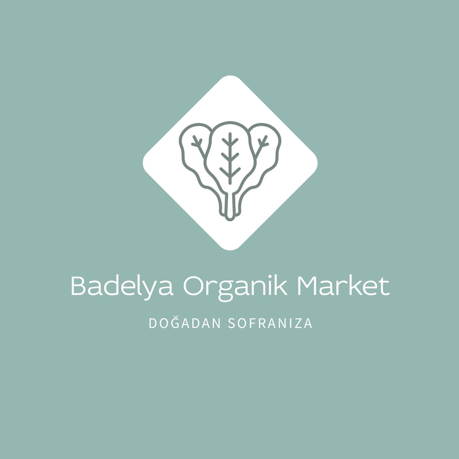 Badelya Organik Market