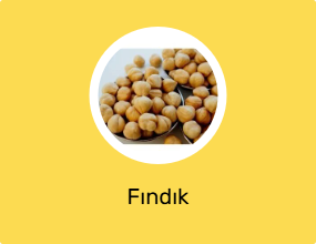 Fındık