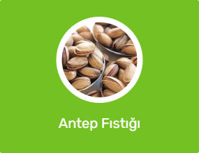 Antep Fıstığı
