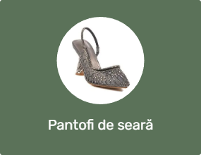 Pantofi de seară