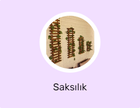Saksılık