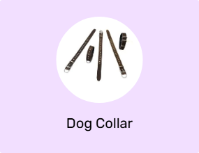 Dog Collar