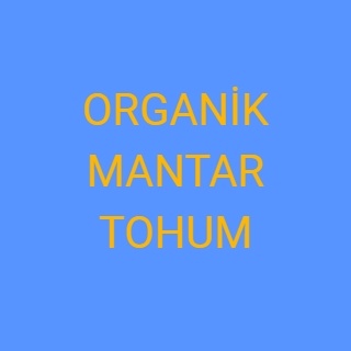 ORGANİK MANTAR TOHUM