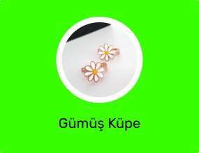 Gümüş Küpe