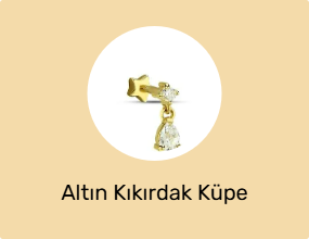 Altın Kıkırdak Küpe