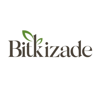 Bitkizade