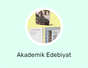 Akademik Edebiyat
