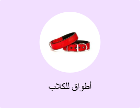 أطواق للكلاب