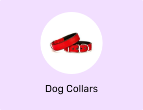 Dog Collars