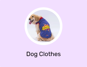 Dog Clothes