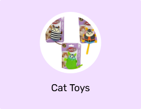 Cat Toys