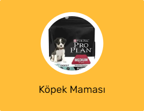 Köpek Maması