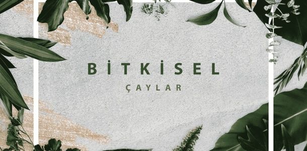 Banner Başlığı