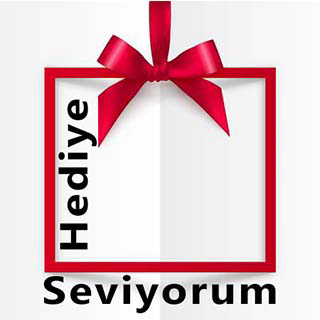 Hediye Seviyorum logo