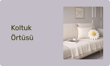 Koltuk Örtüsü