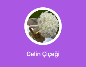 Gelin Çiçeği