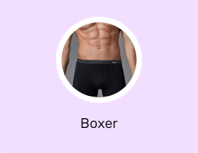Boxer