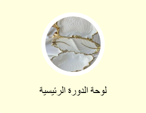 لوحة الدورة الرئيسية