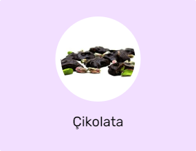 Çikolata
