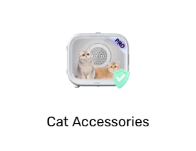 Cat Accessories
