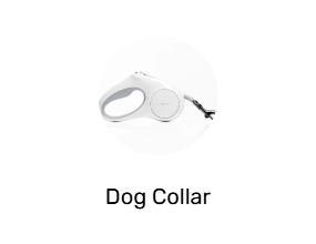 Dog Collar