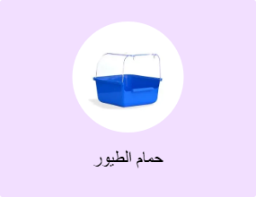 حمام الطيور