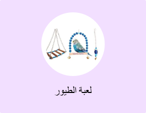 لعبة الطيور