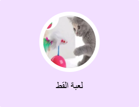 لعبة القط