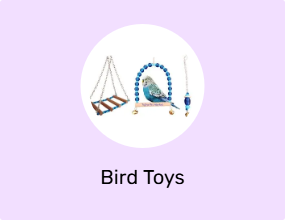 Bird Toys