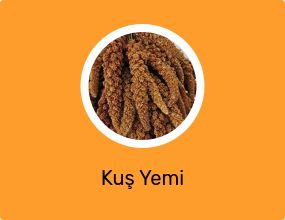 Kuş Yemi