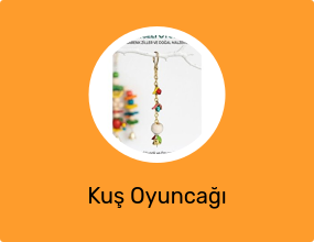 Kuş Oyuncağı