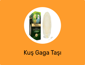 Kuş Gaga Taşı