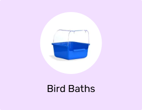 Bird Baths