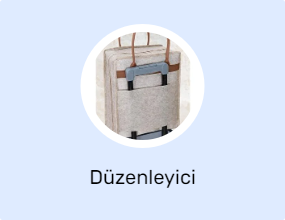 Düzenleyici