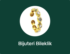Bijuteri Bileklik