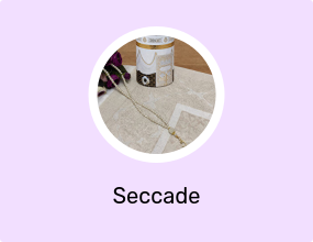 Seccade