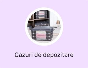Cazuri de depozitare