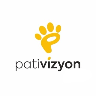 Pativizyon