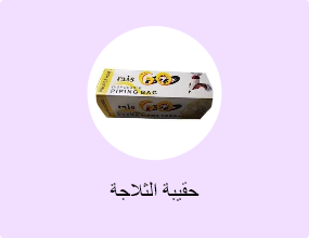 حقيبة الثلاجة