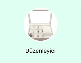 Düzenleyici