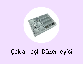 Çok amaçlı Düzenleyici